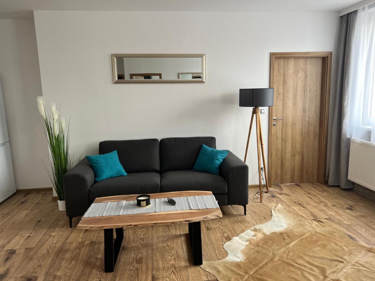 Apartmany U Jelena 3 チェスキー クルムロフ エクステリア 写真